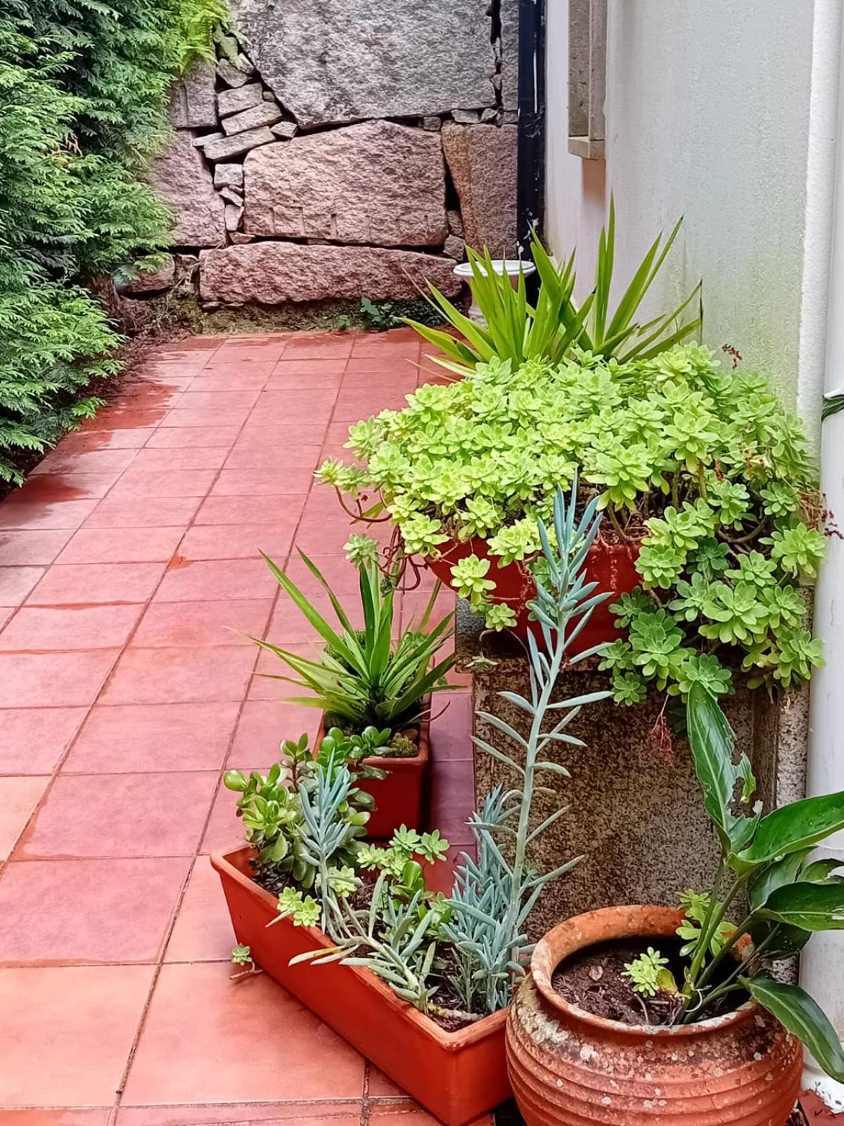 Vivienda Con Jardin Terraza Y Barbacoa Villa Picona ภายนอก รูปภาพ